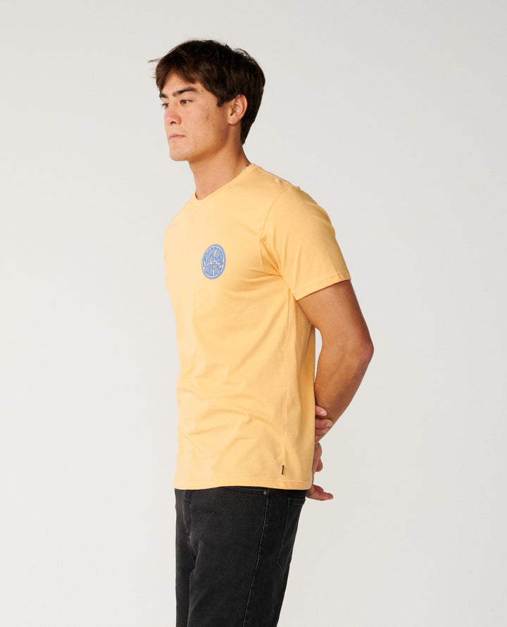 Rip Curl Men Streamline Like Passage Tee 13RMTE
