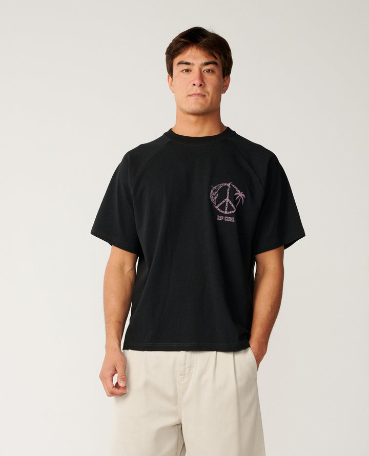 Rip Curl Men Disorder Dolphin Tee 14ZMTE