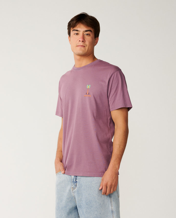Rip Curl Men Pacific Rinse Higgins Tee 16OMTE