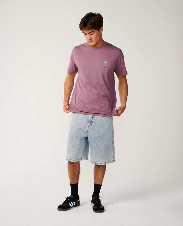 Rip Curl Men Pacific Rinse Higgins Tee 16OMTE